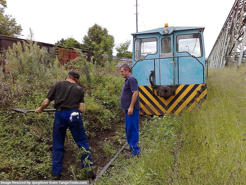 Steve and Spickles blaze a path for our Funky.