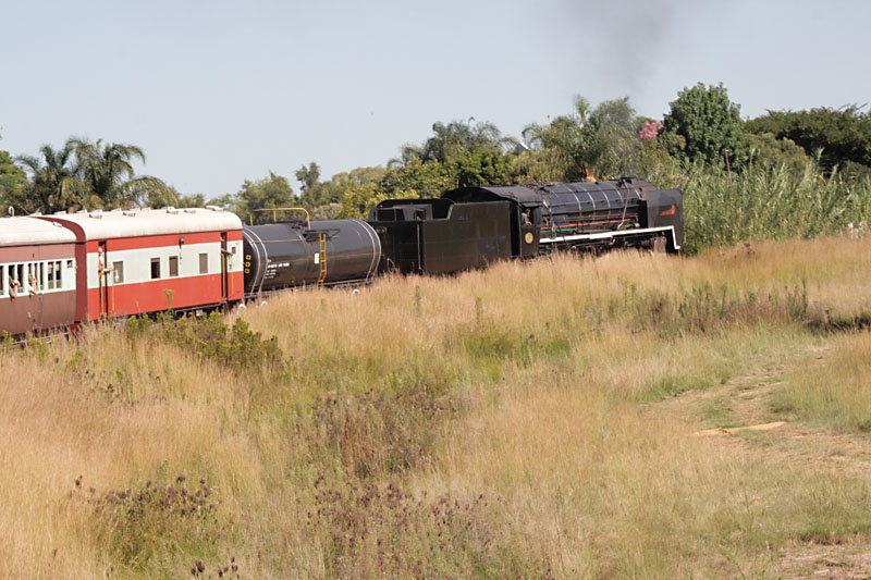 3117_Out of Africa.jpg