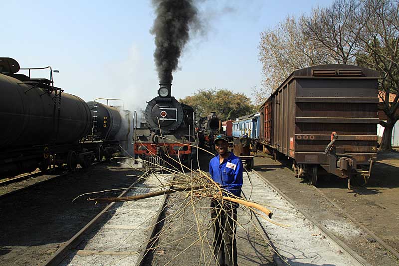 John Makopo with a load of branches for the firelighting heap
