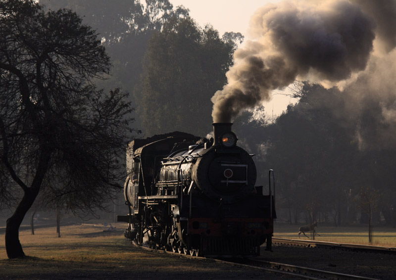 august2010 177az.jpg