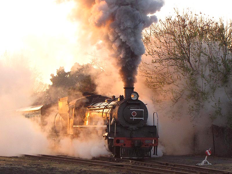 Steaming the trees.jpg