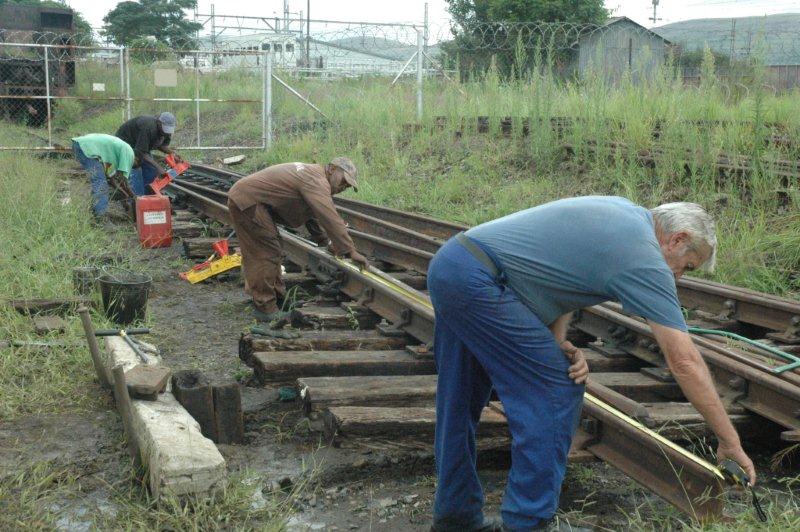 hermanstad january progress 2011 014.jpg