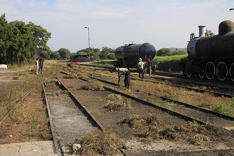 The gang descends upon the overgrown area in front of the site.