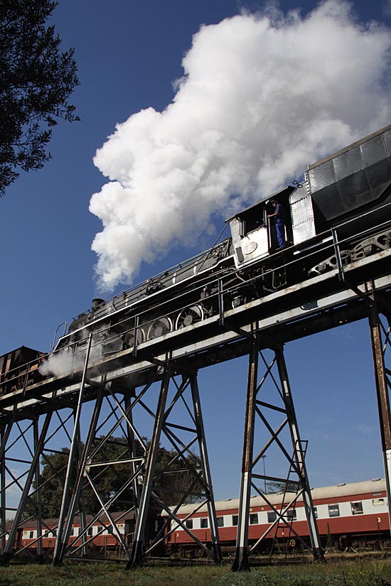 photogalamay2011 515z.jpg