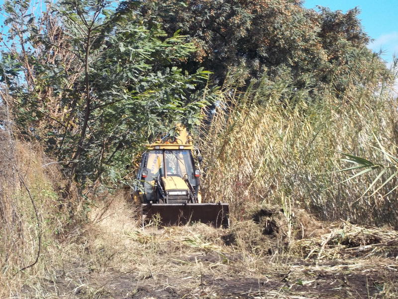 1000 Bike Show 007s.JPG