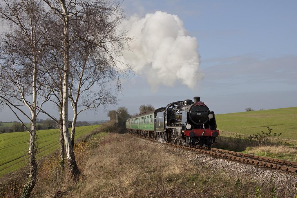 20111203_Northside_Lane_31806.JPG