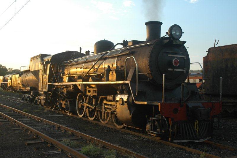 Early light falls on 3664 as she readies to clean fire before heading off to Cullinan with an FOTR train