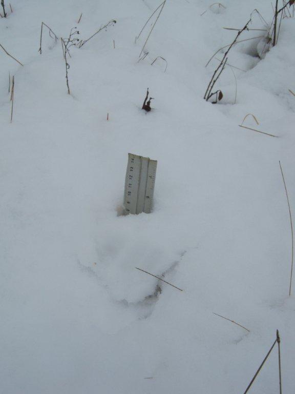 SNOW AUG NOTTIES 2012 052.jpg
