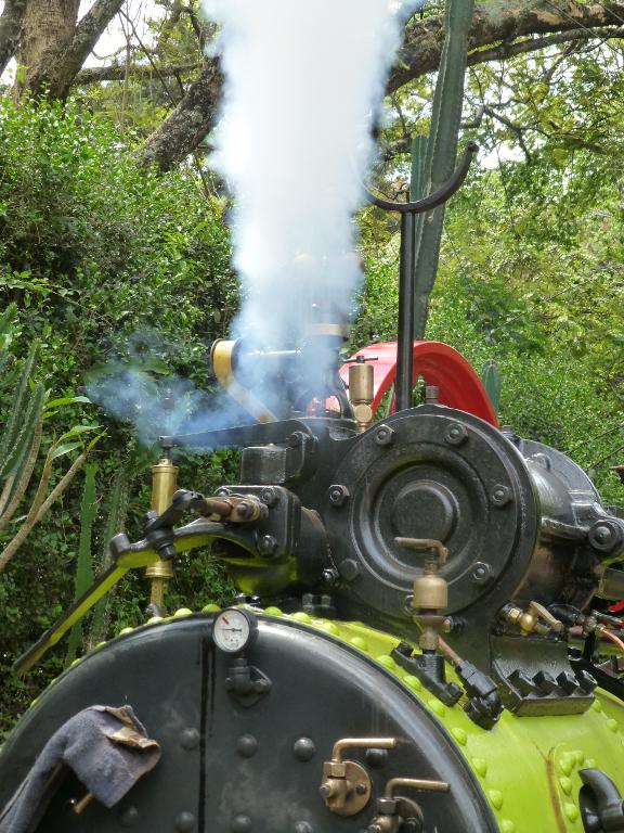 aP1000770.JPG