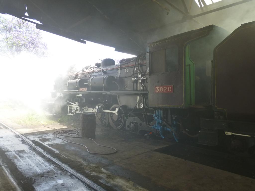3020 wreathed in her own smoke