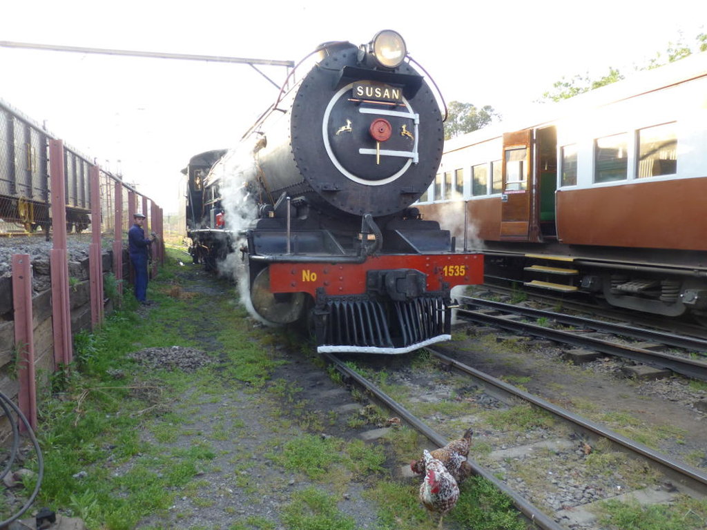 Reefsteamer's 12AR no 1535 stands at Hermanstad in the early morning light as chickens scratch the ground.