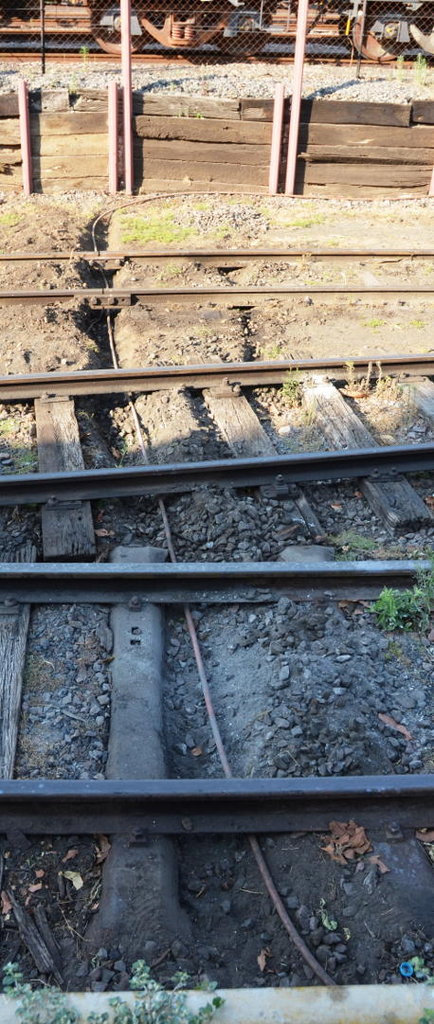 0train, danville hermanstad oct 2014 010.JPG