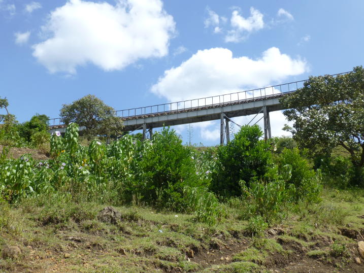 0P1010723.JPG