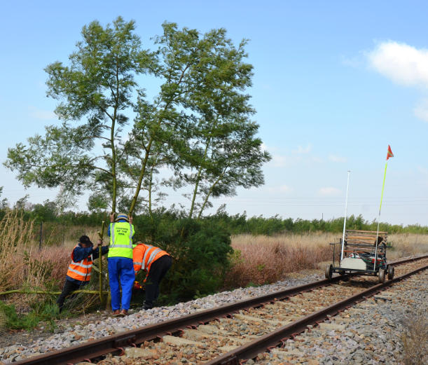 0CULLINAN LINE CHECK JULY 2016 (16).jpg