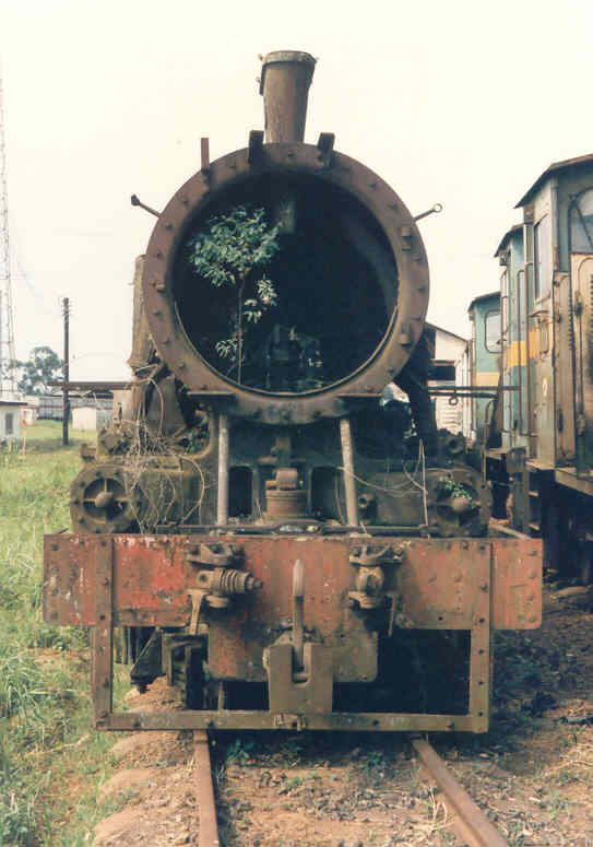 There's a tree growing in the smokebox