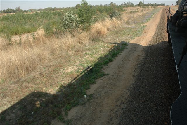 Photo by Nathan berelowitz 7th September 2008