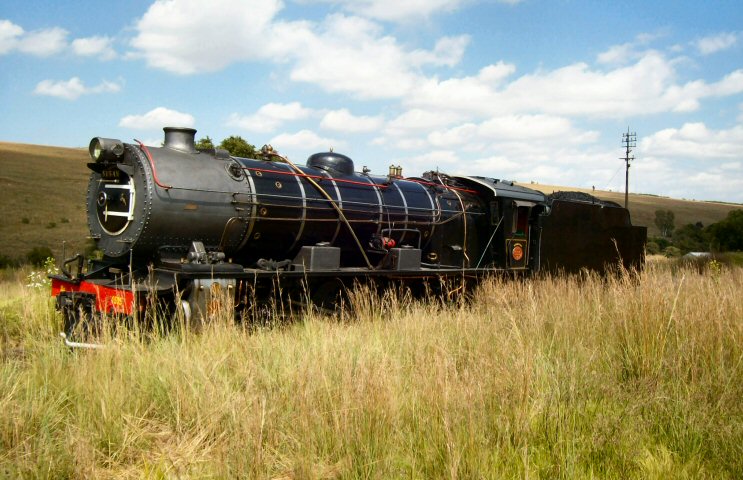susanmagalies01.jpg