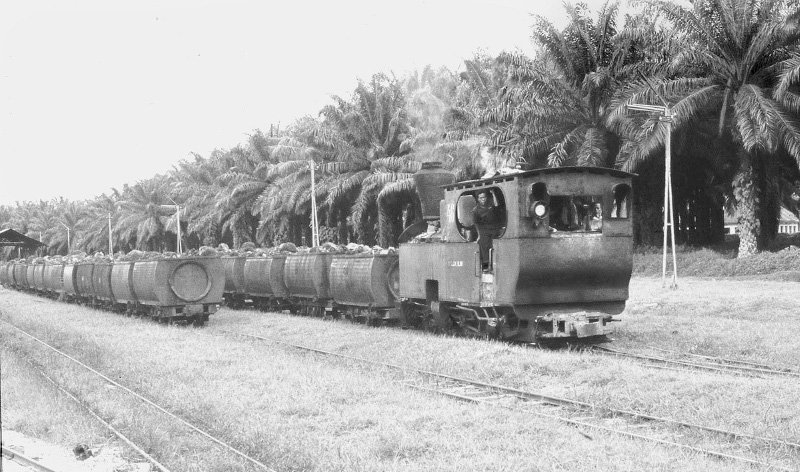 46 Piamatang Siantur.jpg