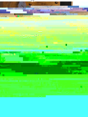 Chilling Detail - 2650