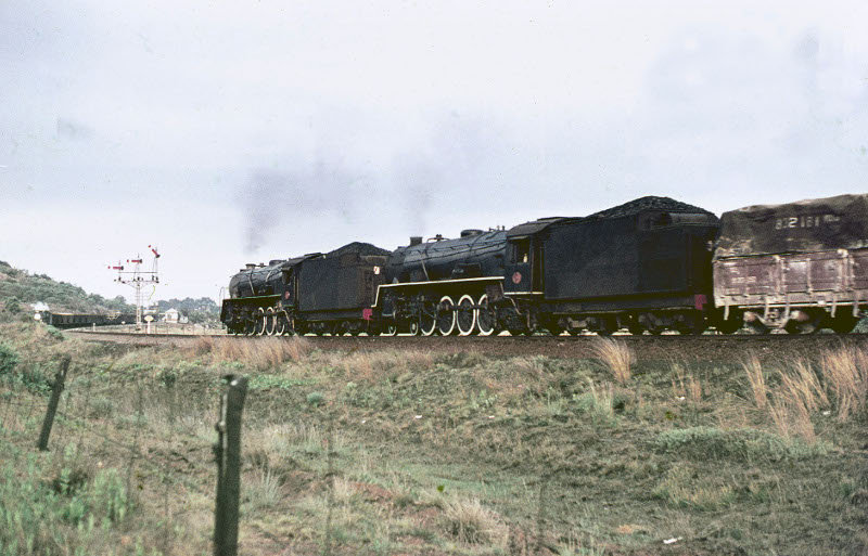15CAs 20472042 Panpoort x 28172803.jpg